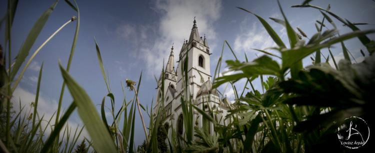 ditro Panorama2facebook